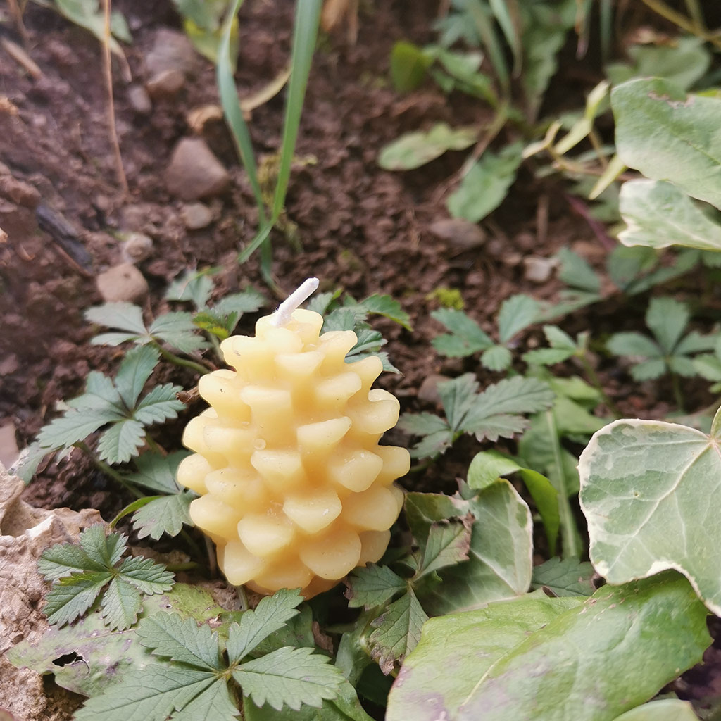 BeeSavallo-candele-in-cera-api-3