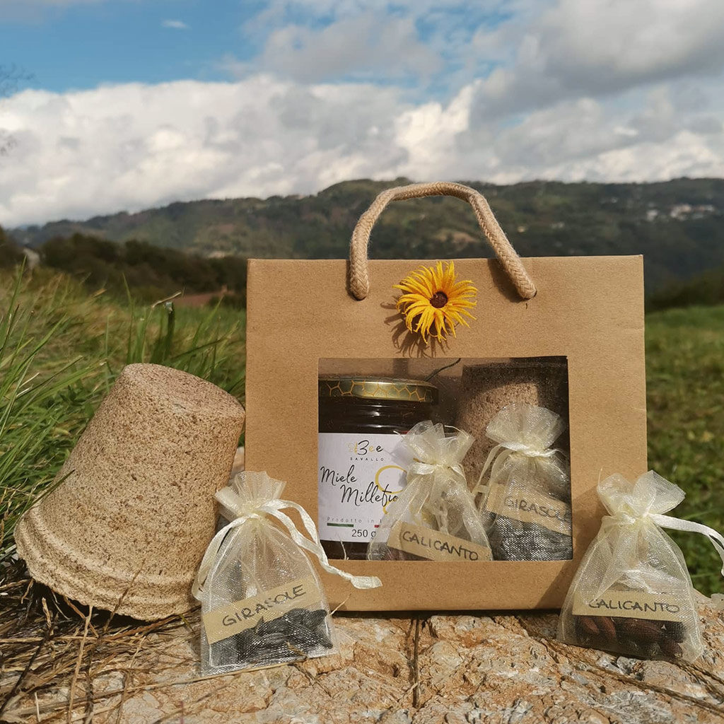 BeeSavallo-confezioni-regalo-con-miele-di-montagna-11