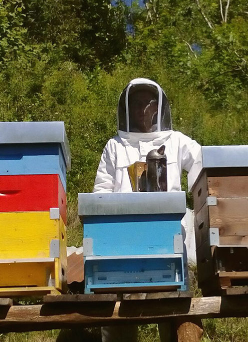 BeeSavallo-piccola-azienda-api-mura-vallesabbia-9